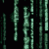 octi69002