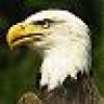 eagle_eye