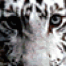 fallenangel