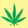 Phool312