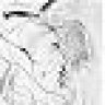 Nimbrod son