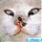 KittyIsShopping