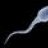 oneluckysperm