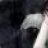 empty_remains