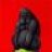 anonymous6619