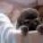 eyeswideshut
