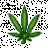 halperdude