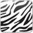 Floating Zebra