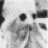 Sadner
