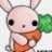 DustBunny