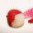 Lychee