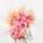 s_scott0420