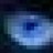 bluroxcat