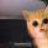 Chairman Meow-Meow