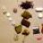 Drug_enthusiast