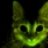 Jinkxy