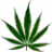 alcohol+ganja