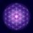 Flower of Life