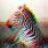 TrippyZebra