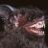 monster_fallacy