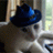 Deafcat
