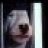 notadog