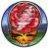 scarletbegonias11