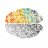 Maas_Psychedelica