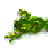frog_e