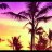 Polly_84