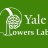 Yale Cannabis Study
