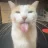 Dizzyak_ (forums version)