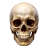justmaxing