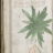 isotuden