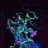 Psychedelics_r_best