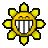 sunshinefix