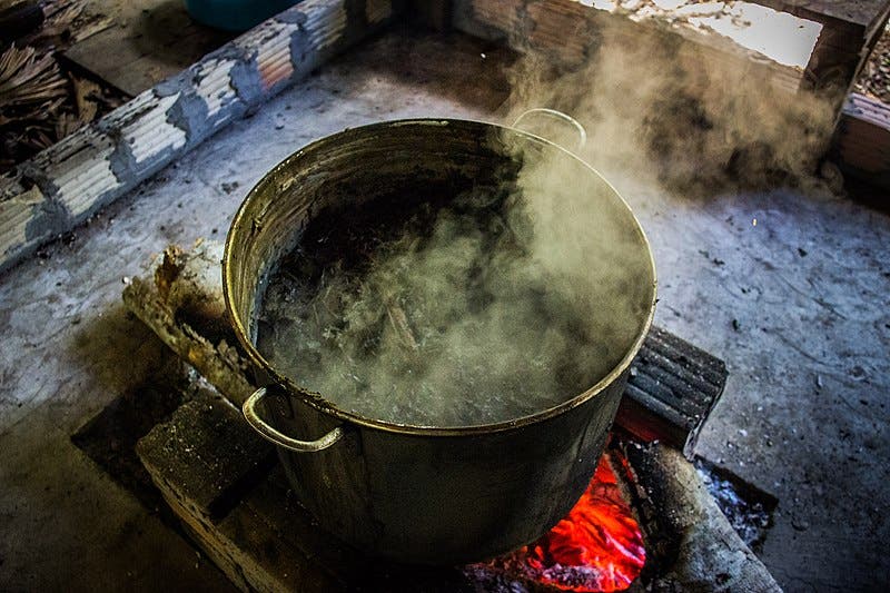 800px-Ayahuasca_brewing_02.jpg