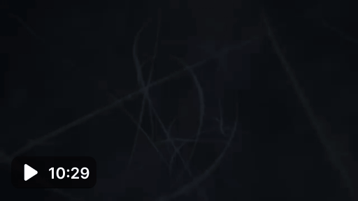 www.veed.io
