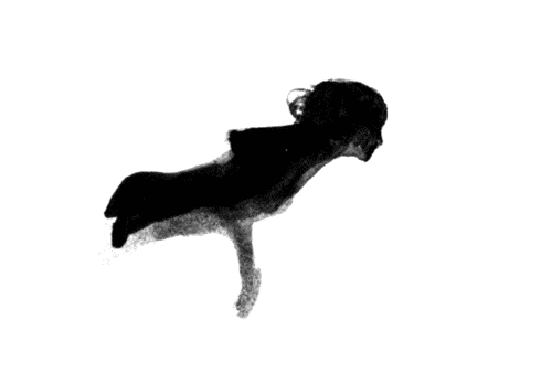 tumblr_mfuxoip1ZM1qjk39jo1_500.gif