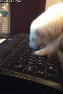 source.gif