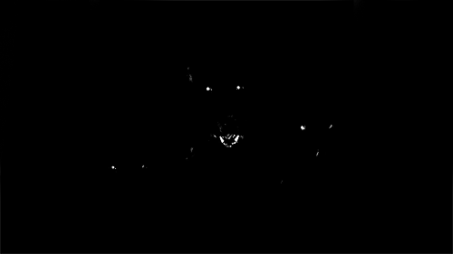 83442815.gif