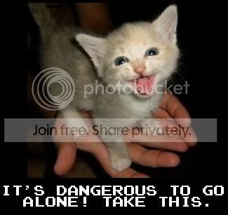 Its_dangerous_to_go_alone_Take_this.jpg