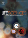 www.sciencedirect.com