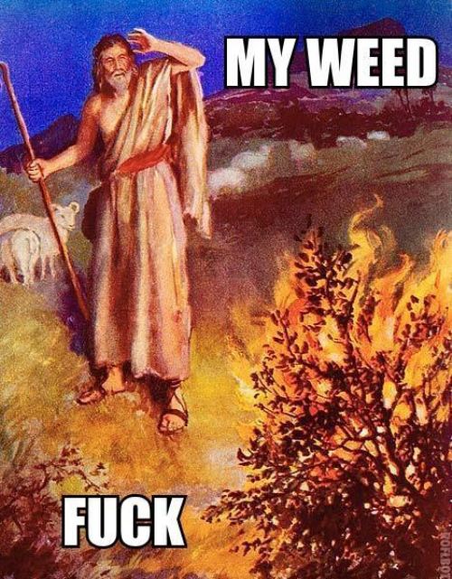 KoZUd.jpg