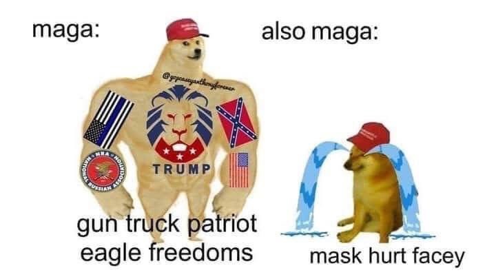 8fj6V3b.jpg
