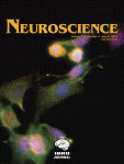 www.sciencedirect.com