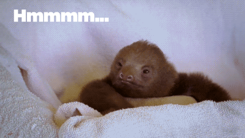 1Cm9s.gif