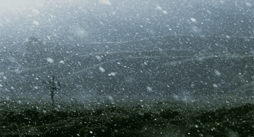 tumblr_mujst5GqFn1rlaox0o2_500.gif