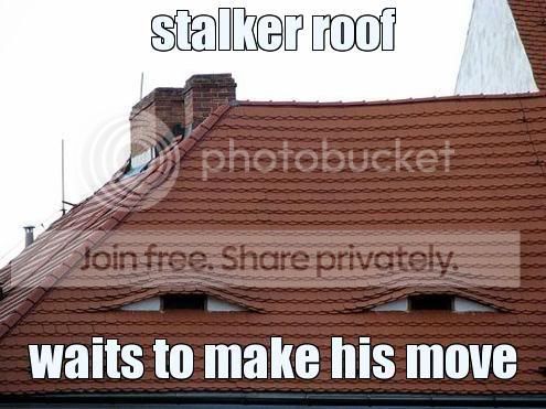roof.jpg