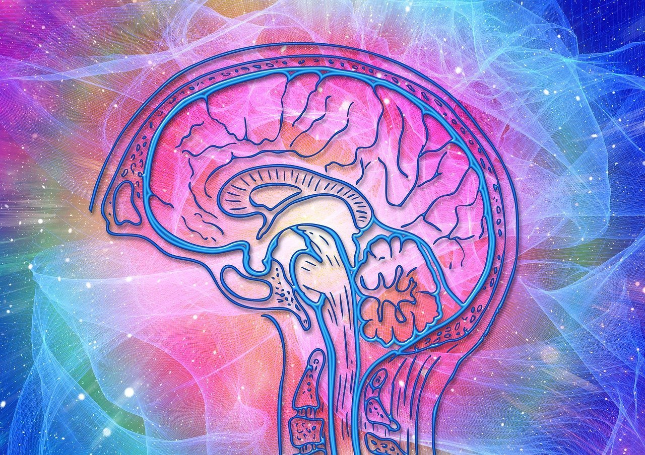 neurosciencenews.com